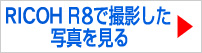 RICOH R8 ŎBeʐ^